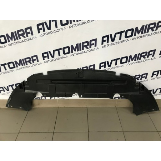 Захист переднього бампера Ford Focus 2 2005-2010 3M51A8B384AF